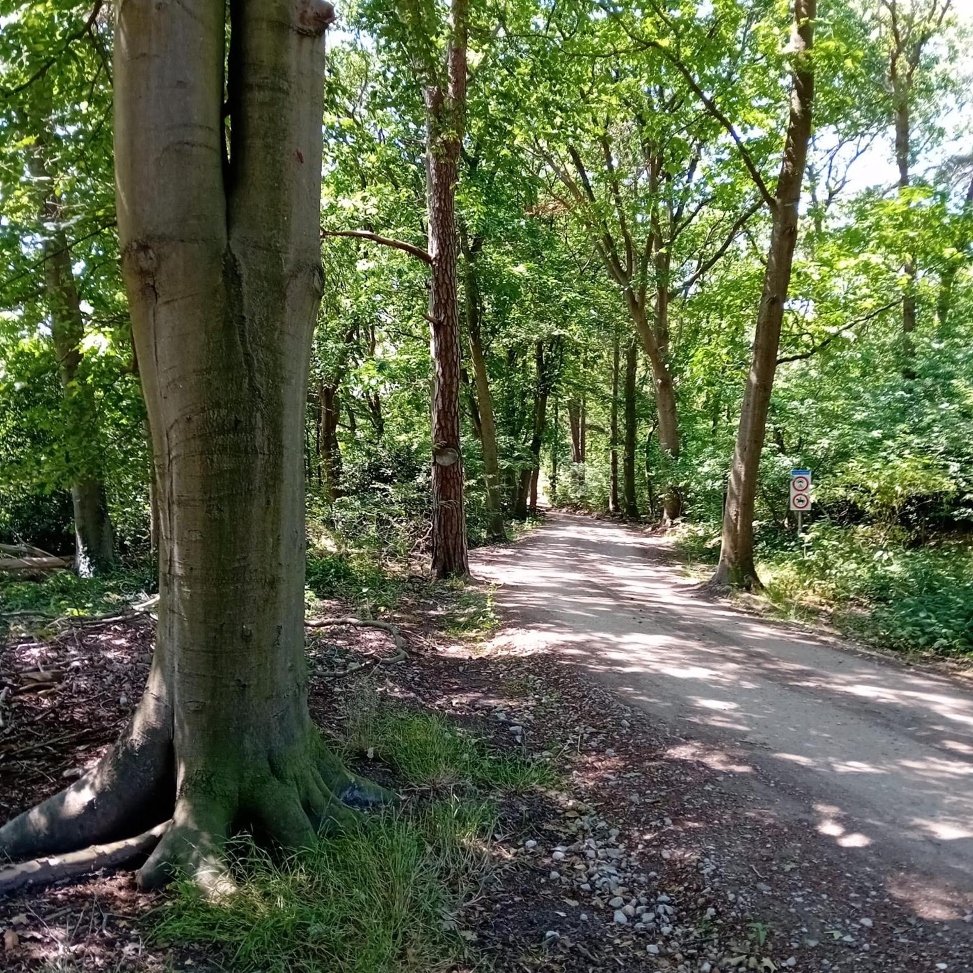 Slapen op De Bult Green 2 persons