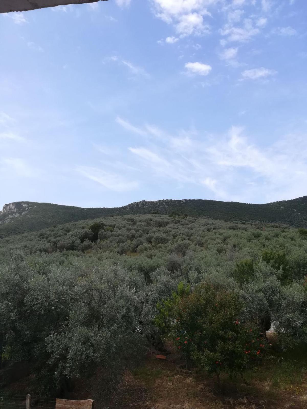 Studio with Mountain View