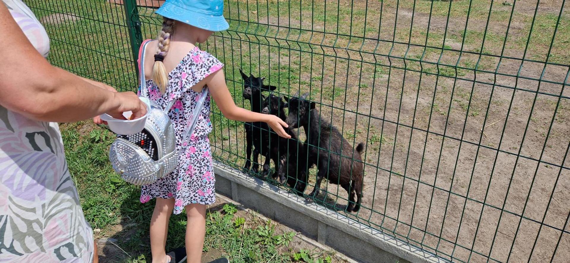 Agroturystyka Zielony Zakątek w Wiewiecku