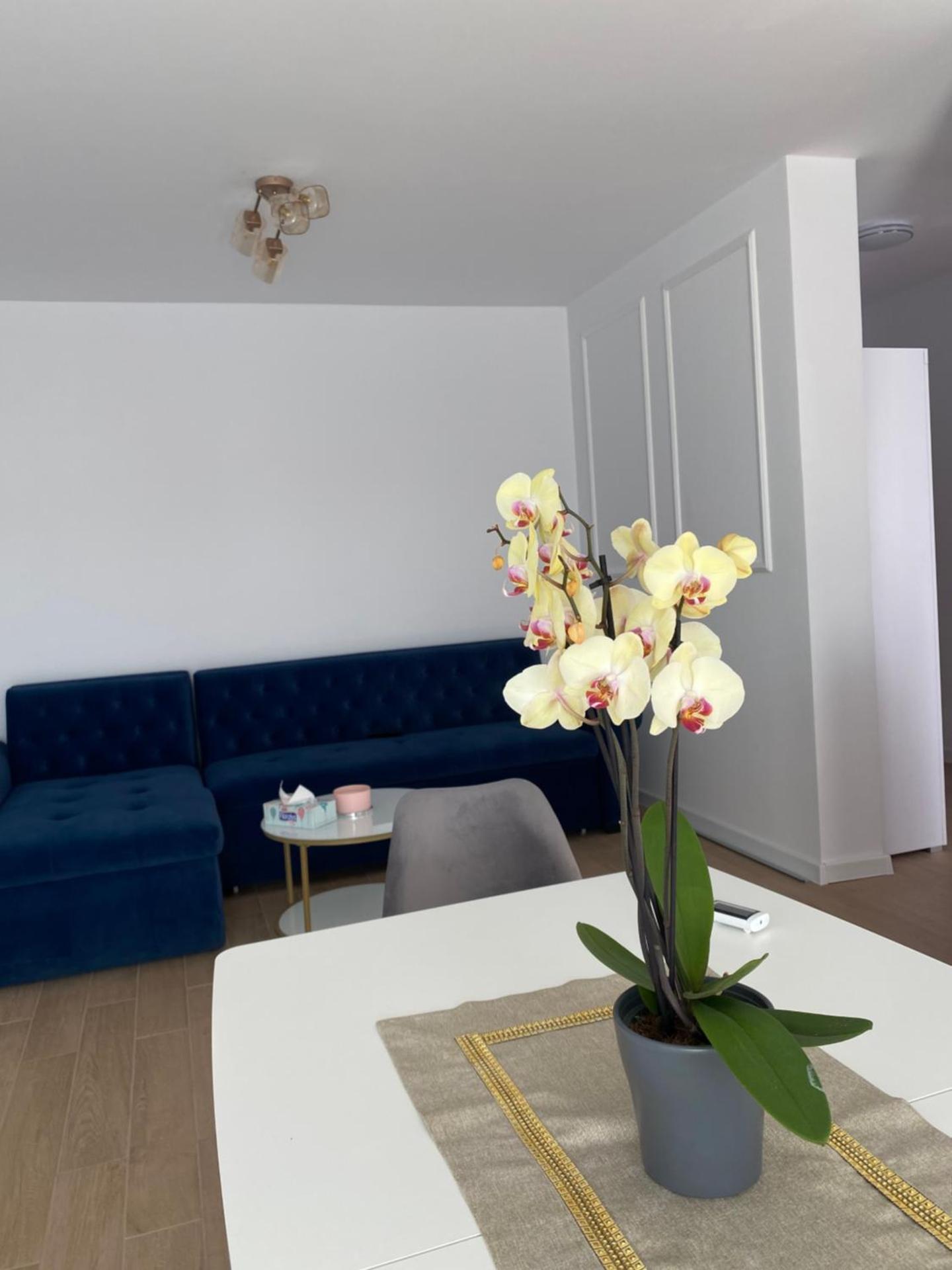 Apartament Grand Hill 1