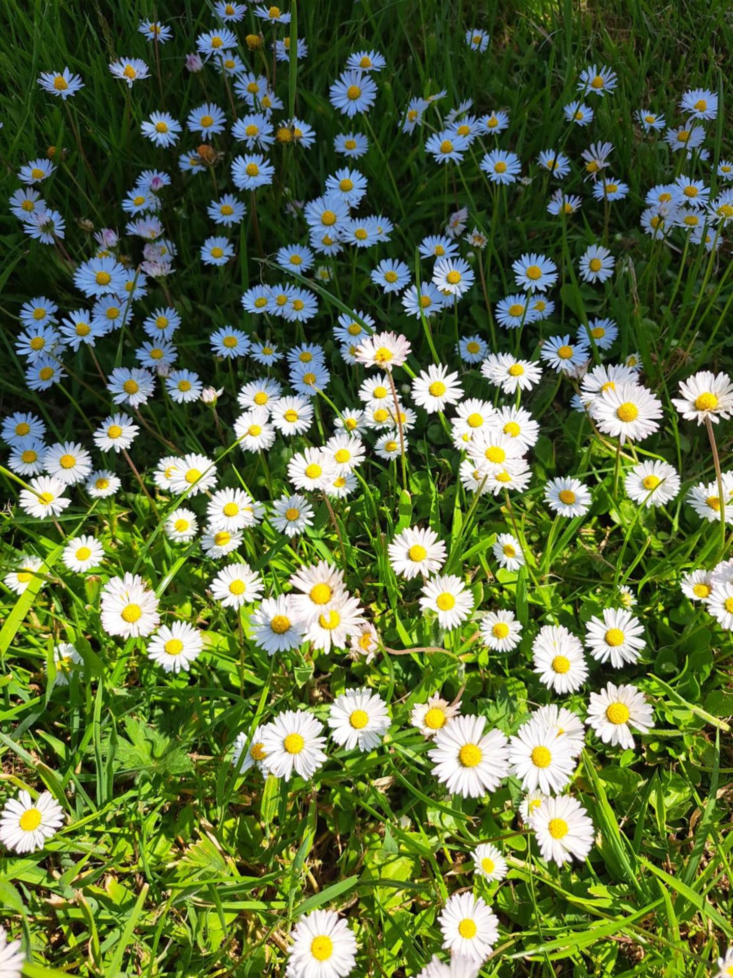 Pond Beach 2ppl-private Hot tub