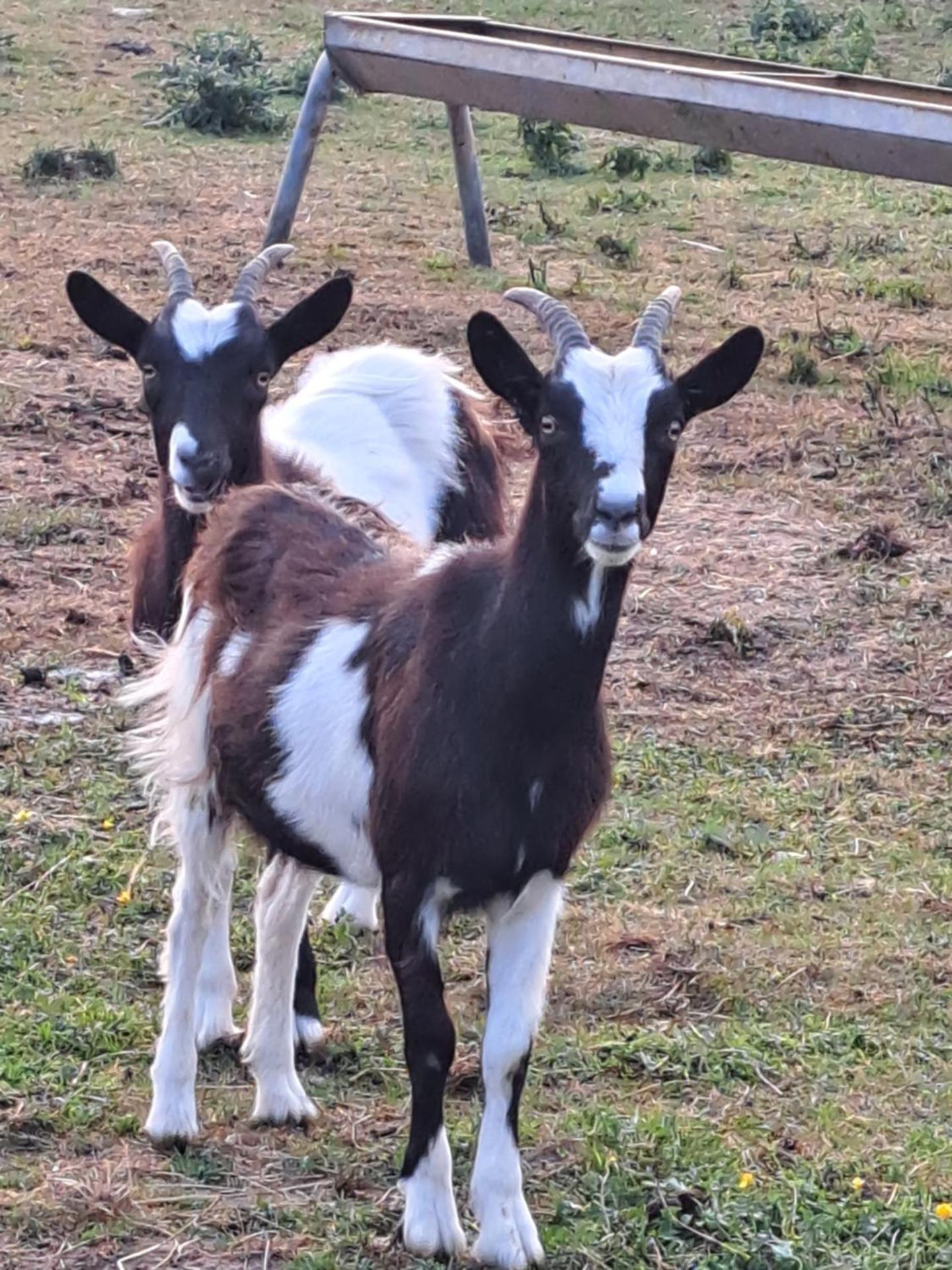Pond Beach 2ppl-private Hot tub
