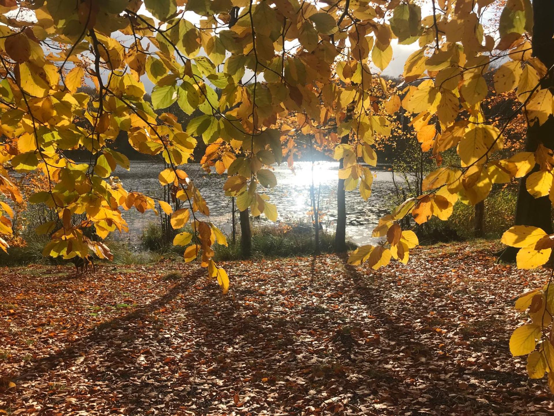 Ferienwohnung in Schmargendorf bei Angermünde