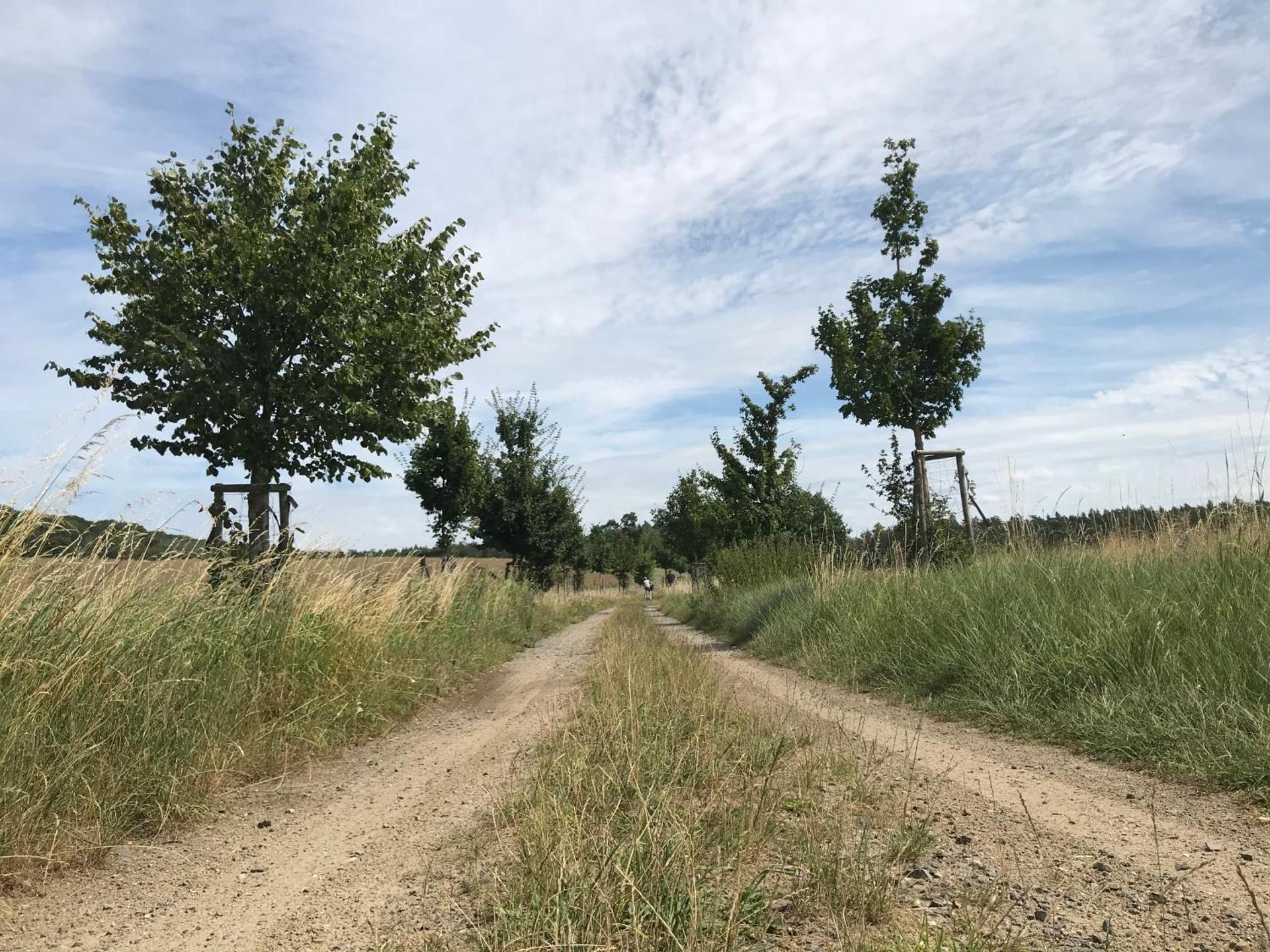 Ferienwohnung in Schmargendorf bei Angermünde