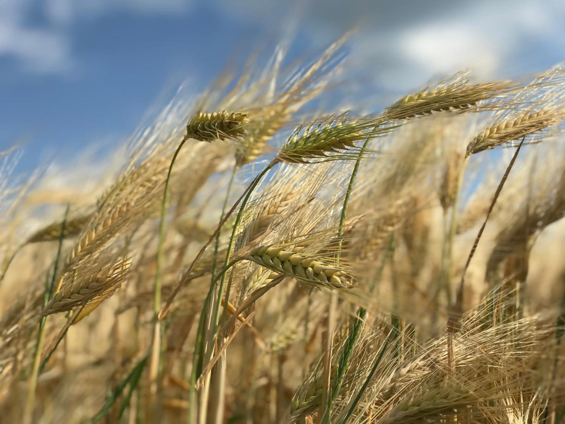 Ferienwohnung in Schmargendorf bei Angermünde