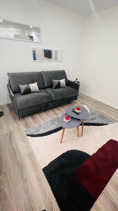 Studio cosy Buttes-Chaumont