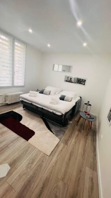 Studio cosy Buttes-Chaumont