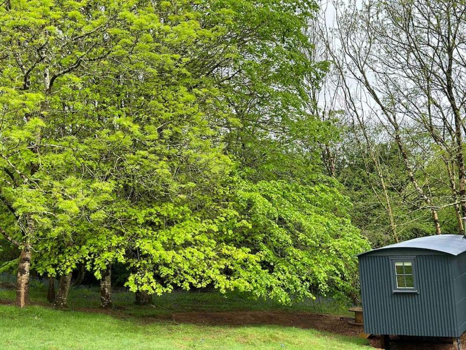 Cornwall Woodland Shepherd's Hut Deirdres Hut