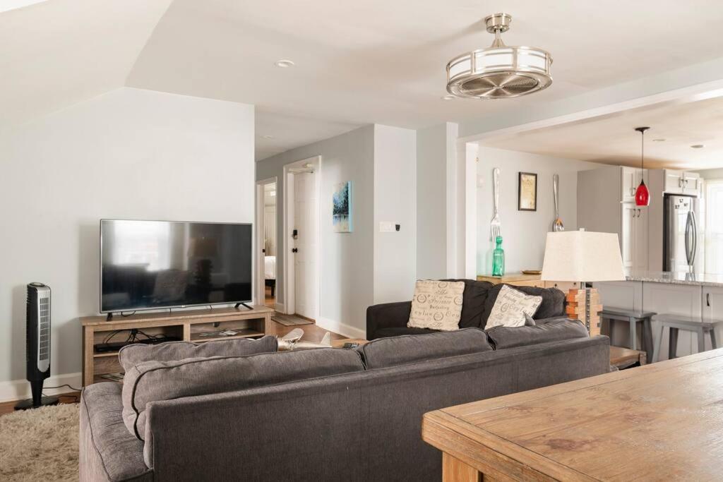 Historic Hagerstown Antietam Battlefield WhiteTail