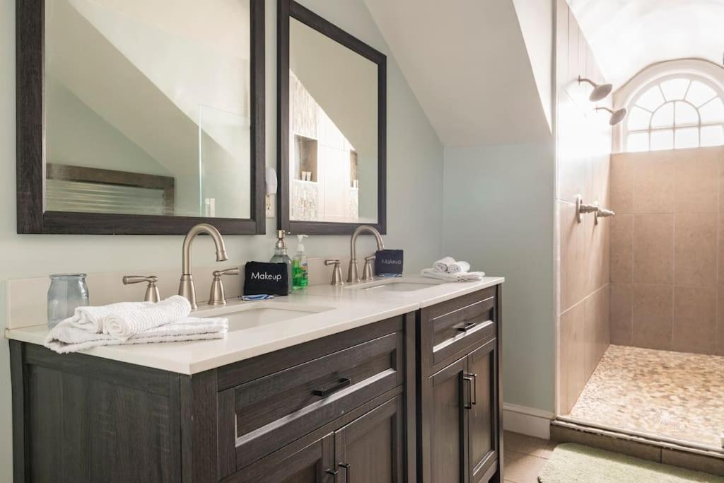 Historic Hagerstown Antietam Battlefield WhiteTail