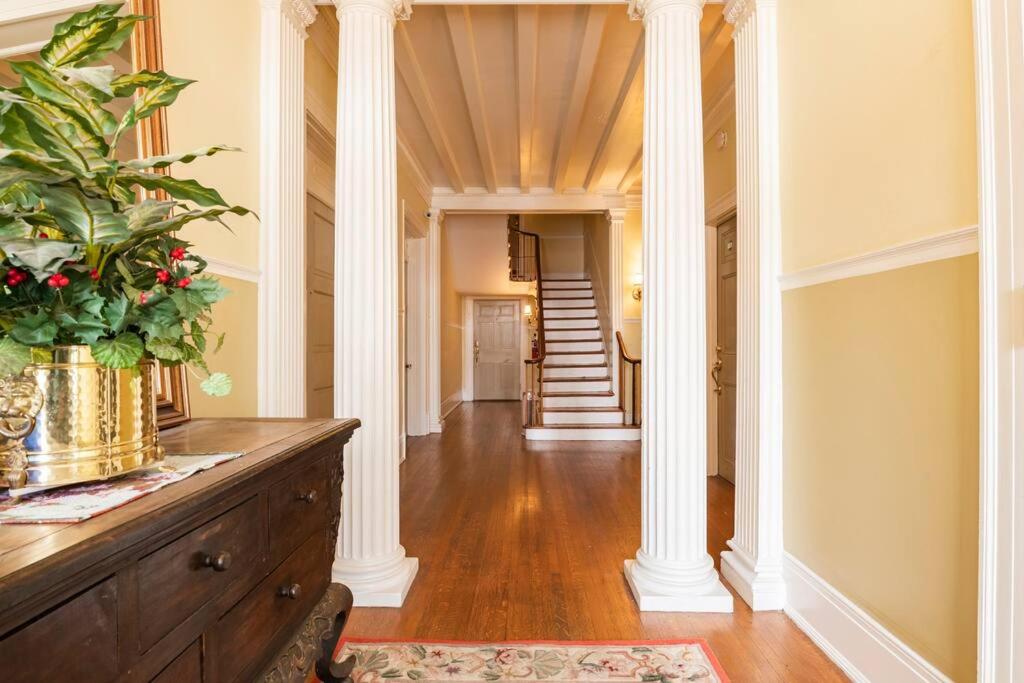 Historic Hagerstown Antietam Battlefield WhiteTail