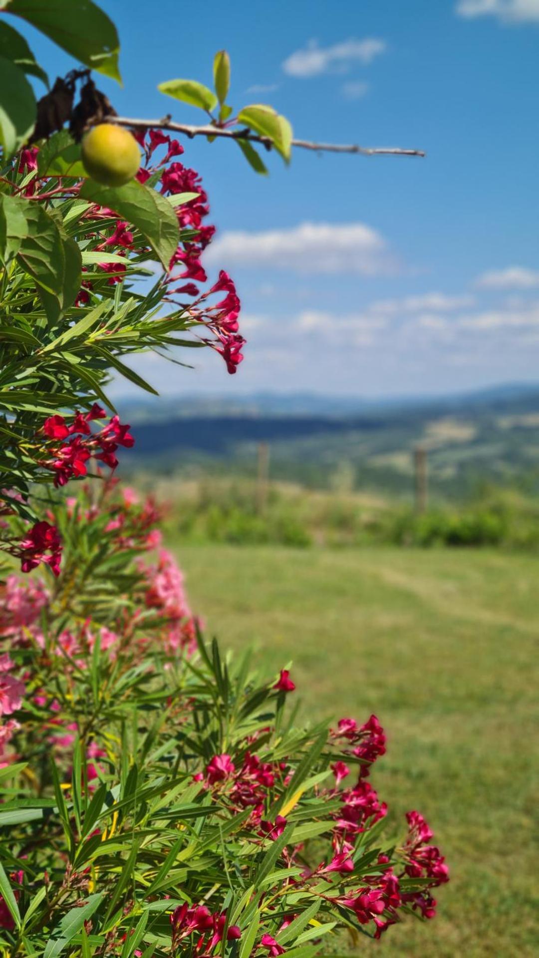 Appartamento Il Nido