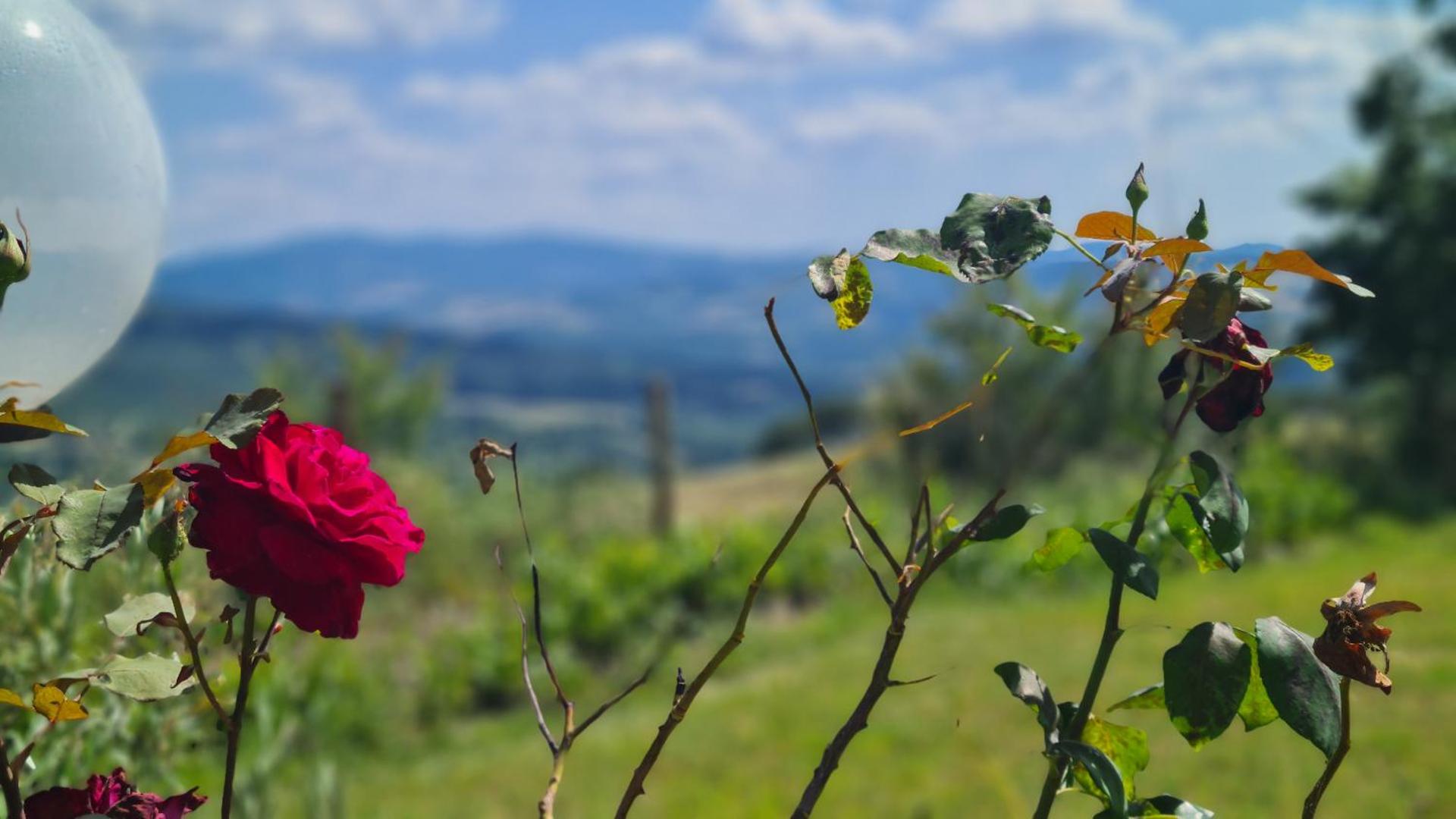 Appartamento Il Nido