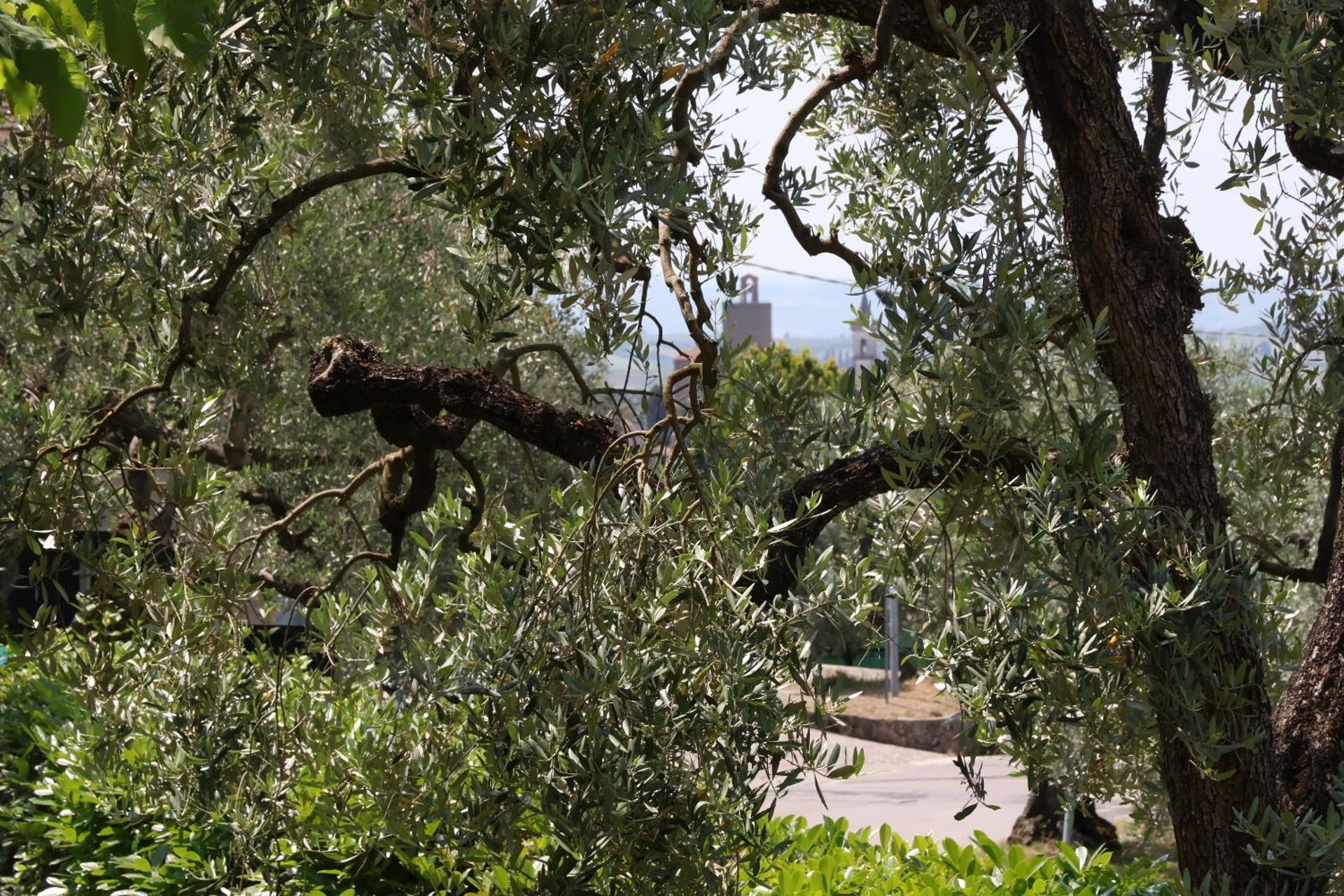 Affittacamere Acquaria-Vinci