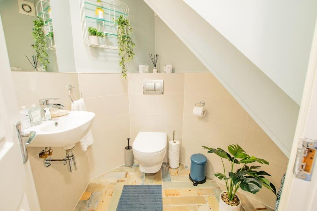 Cosy Retreat in The City Centre