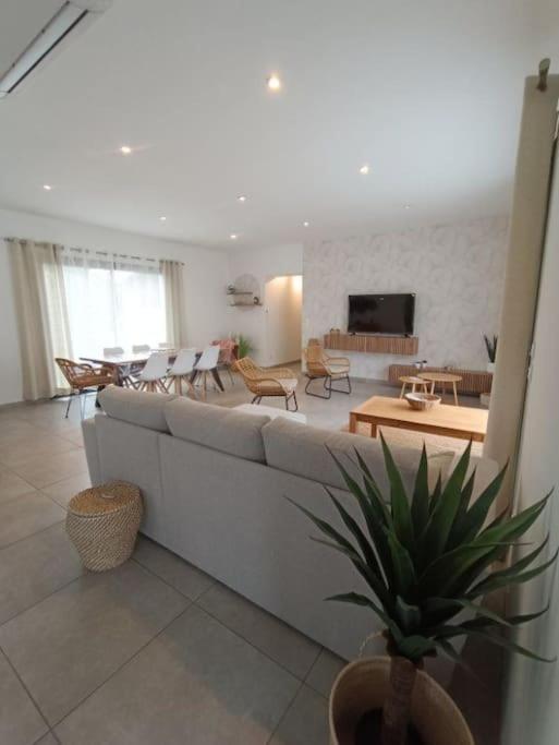 Villa des rives du Tarn avec jacuzzi