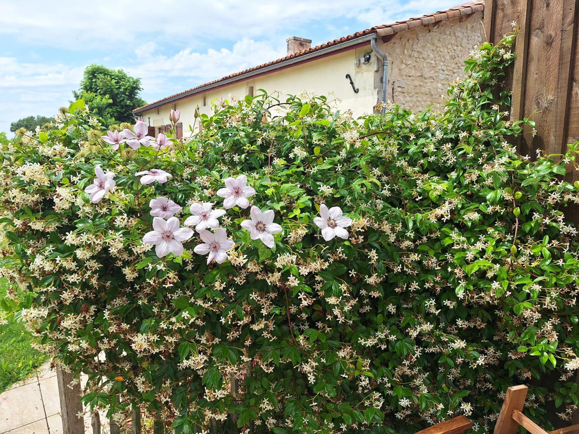 Gîte Cosy Grand confort dans un écrin de verdure