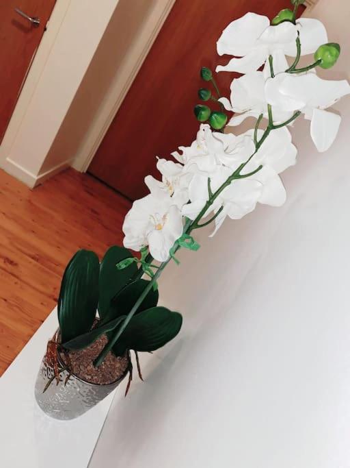 2 Bed Apartment with Free Parking