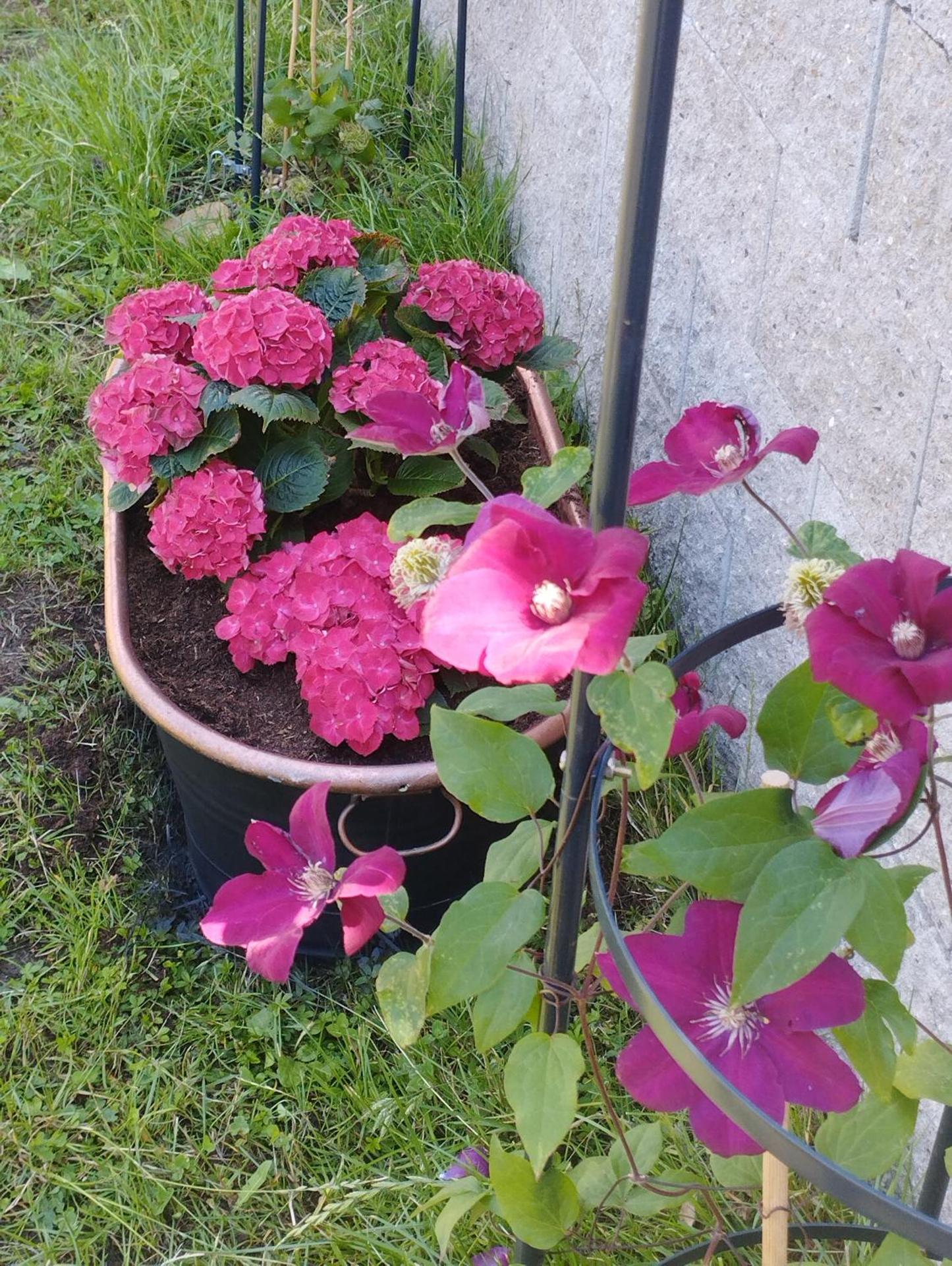 Penzion Restaurace u Helferů