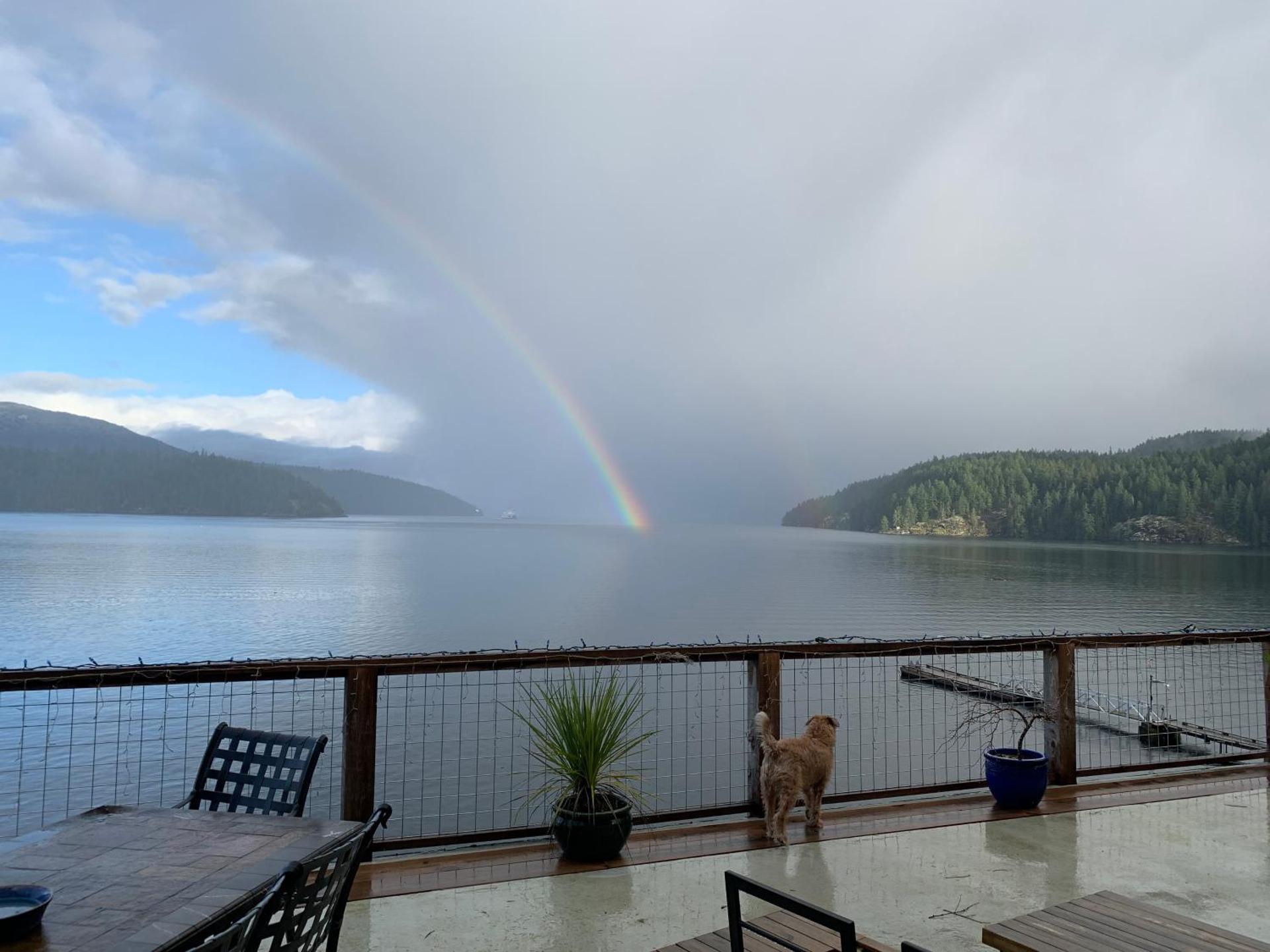 Earls Cove Orca View