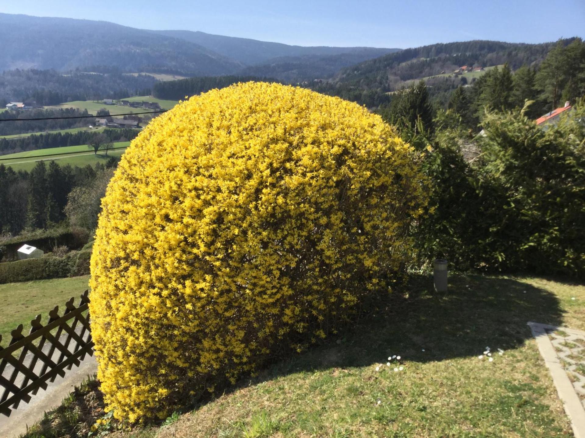 Ferienwohnung Zapfl Maria