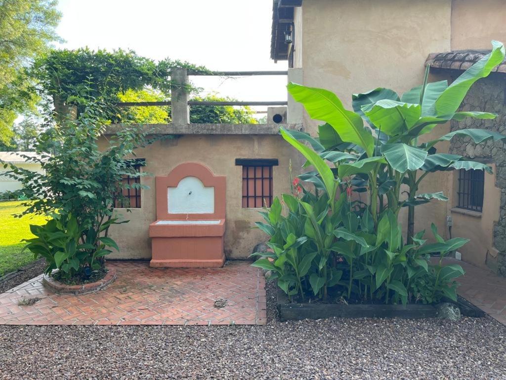 El Bosque de Candeleda