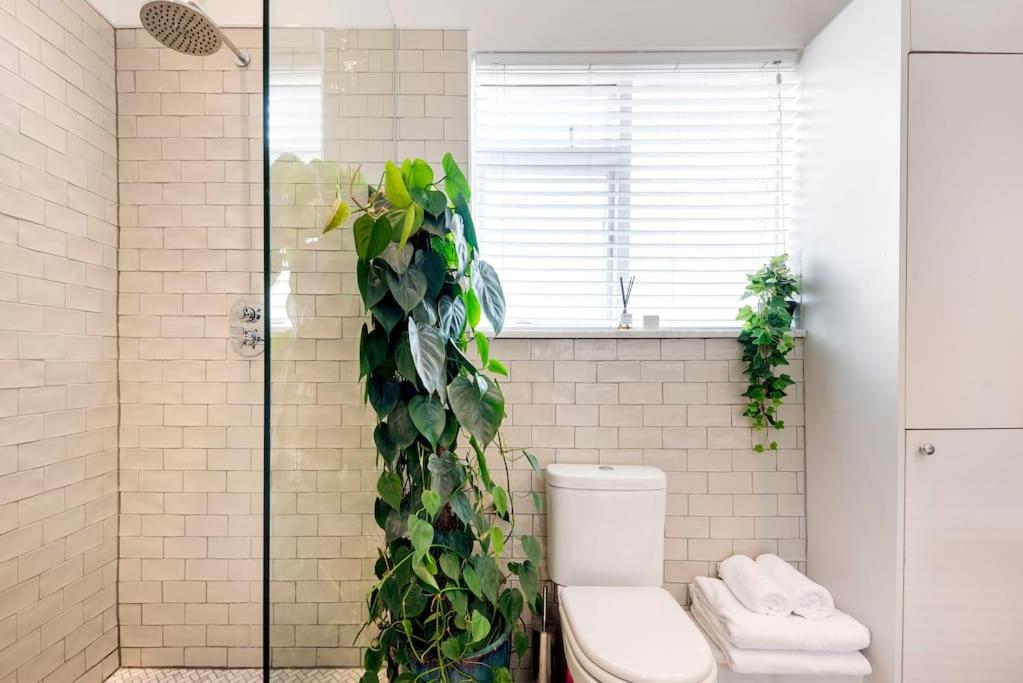 Contemporary Clapham Living