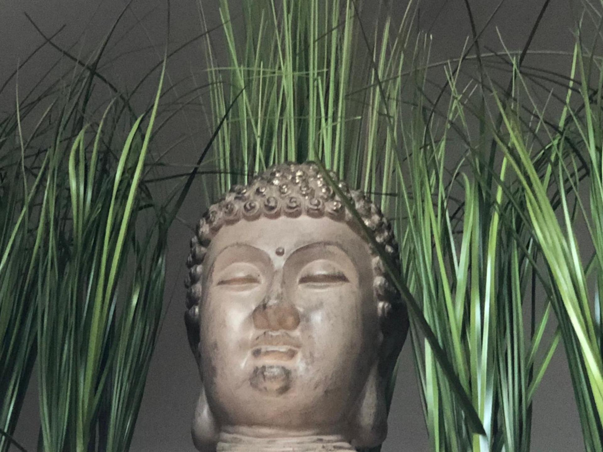 Escale à Fécamp 4 étoiles - garage privé