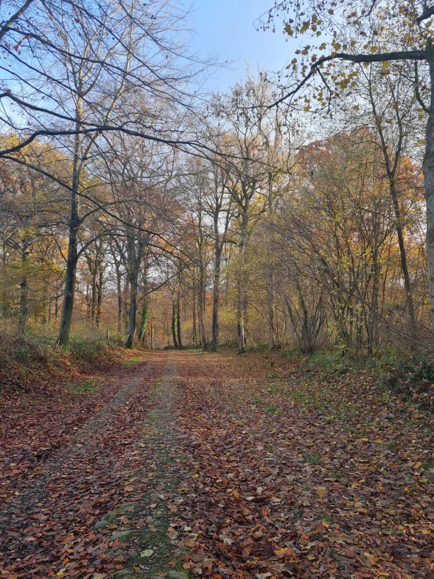 La Bucolique de Tahier