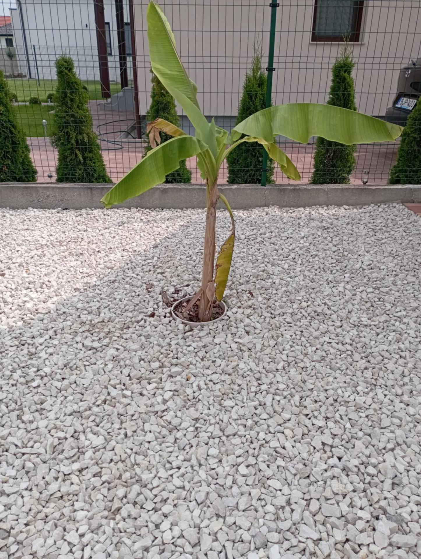 Vadgalamb Apartmanház