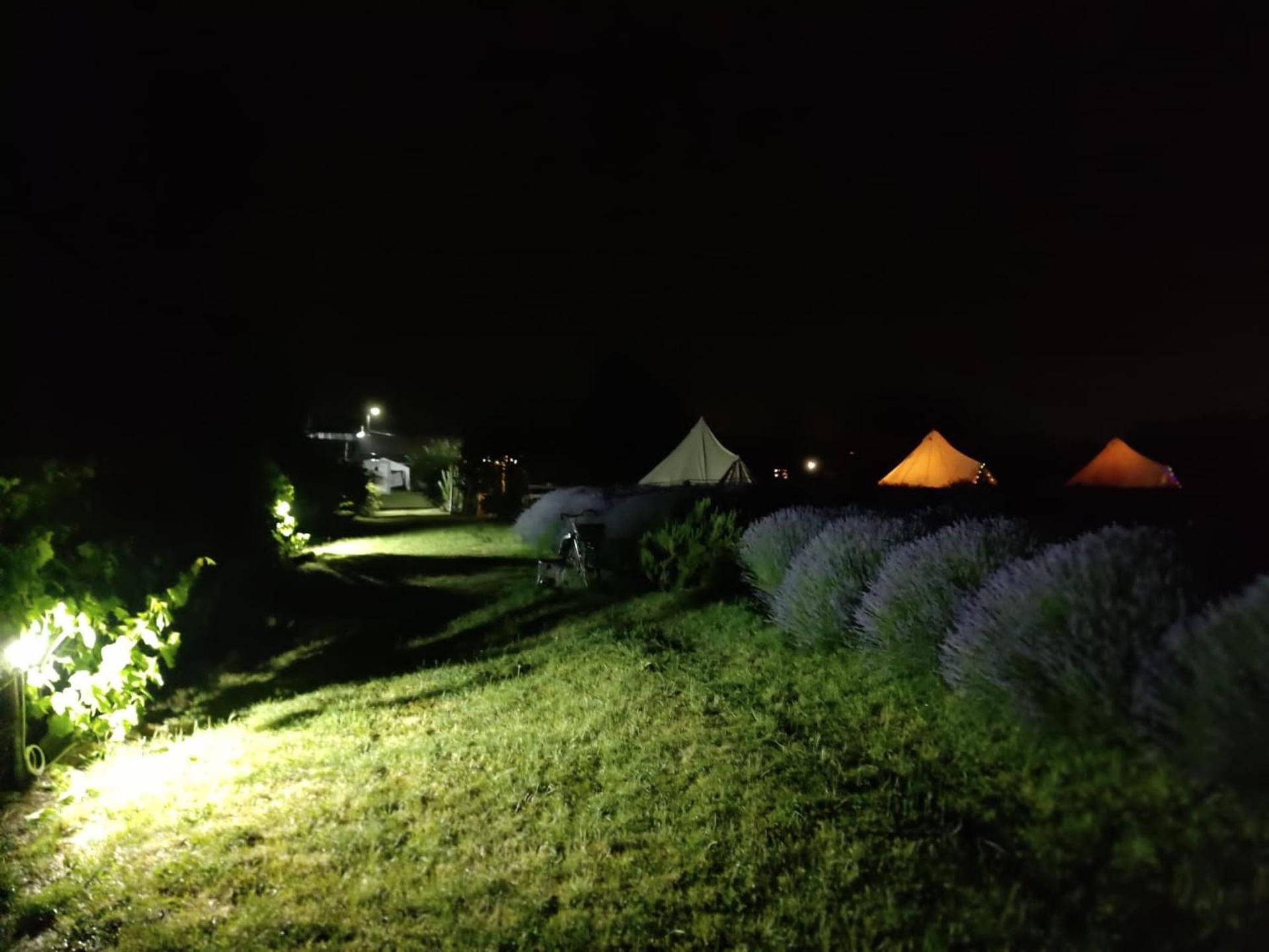 Grădina Magică a Lavandei Glamping