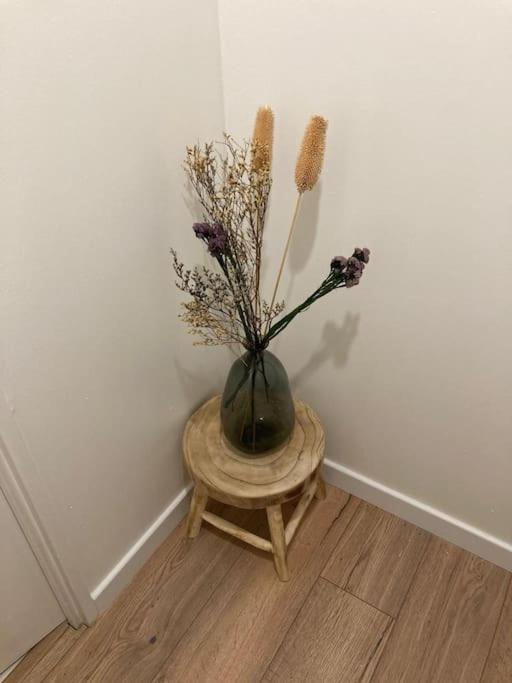 Charmant T2 dans Toulouse