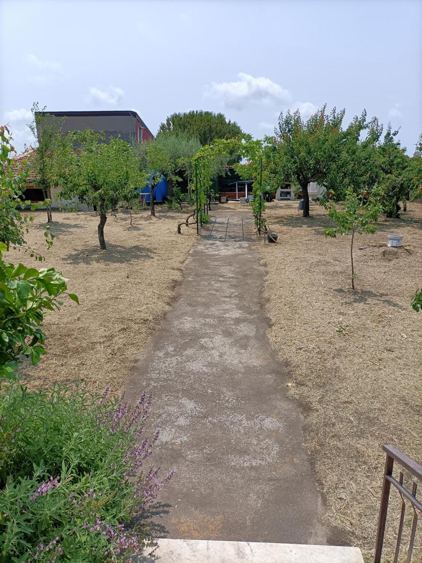 CASA VACANZE FRANCESCO E TANINA