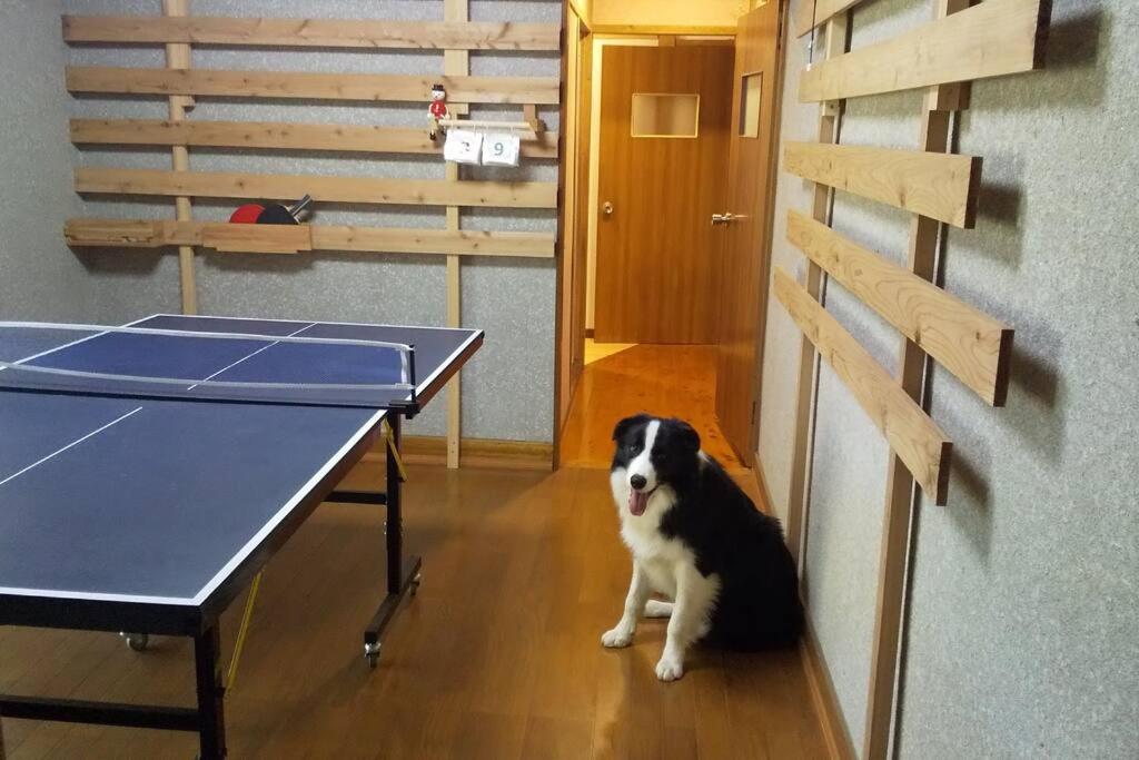 ちびっこ・わんこ・リゾート　Ｓａｒａｒｉ　（里楽里）