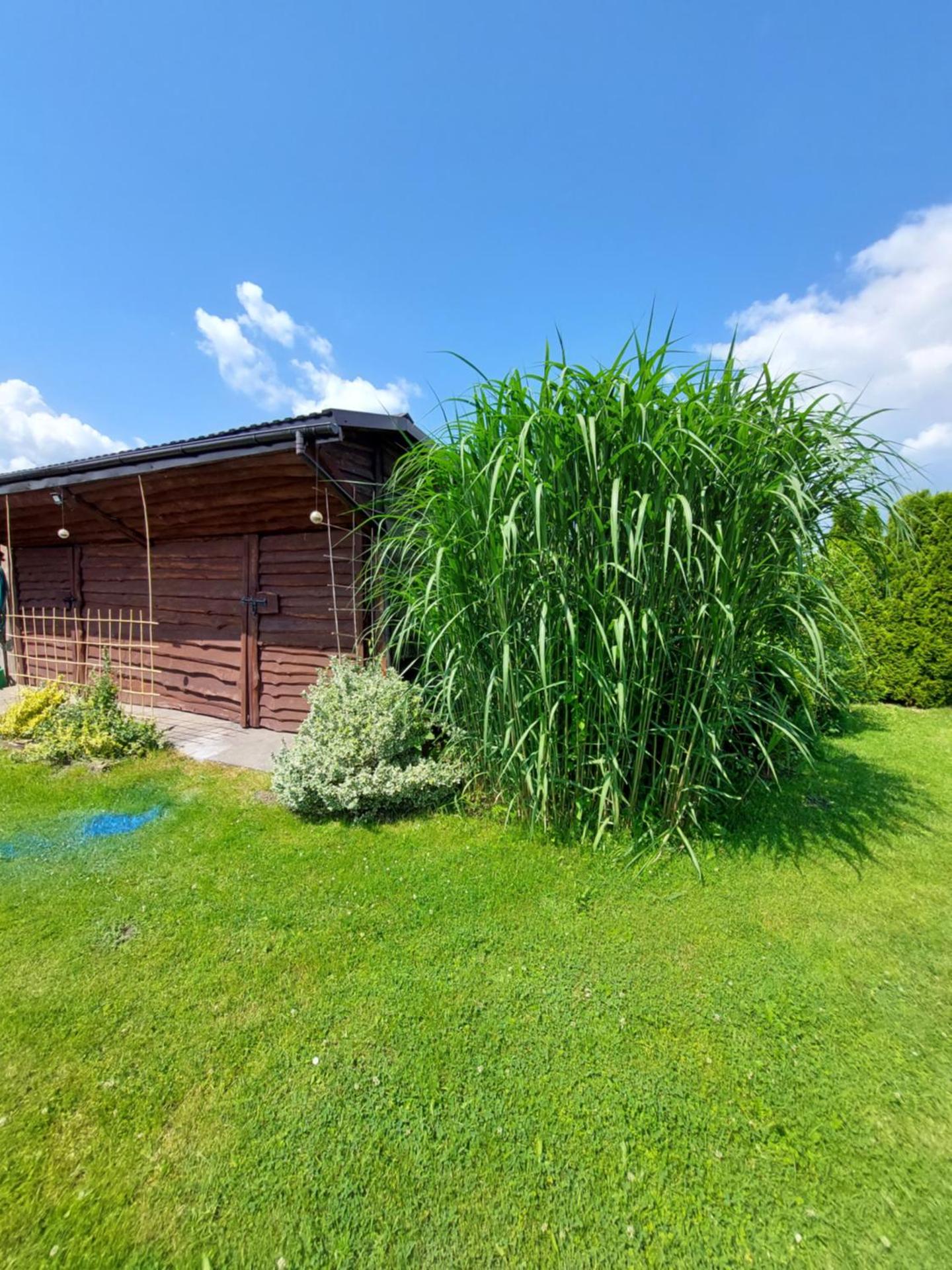 Pokoje w domu na wsi