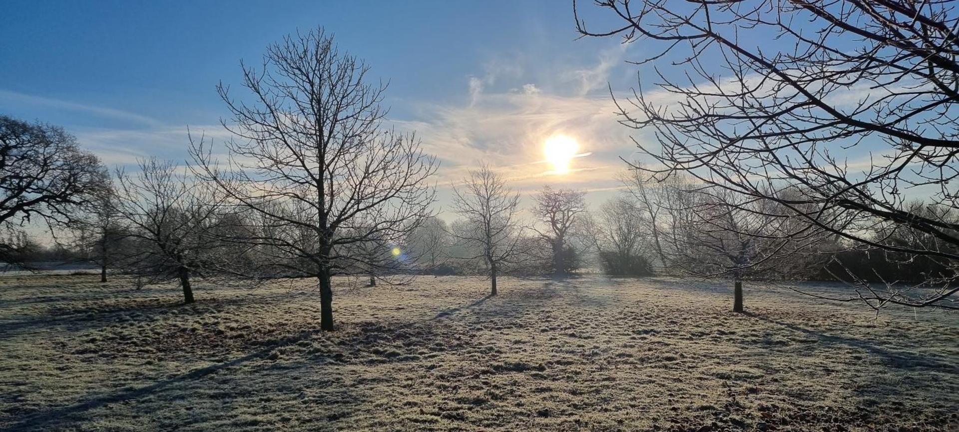 Detached Cottage with Garden 