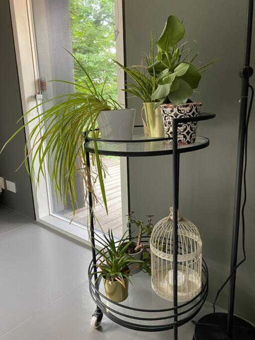 Style Meets Location in Göteborg