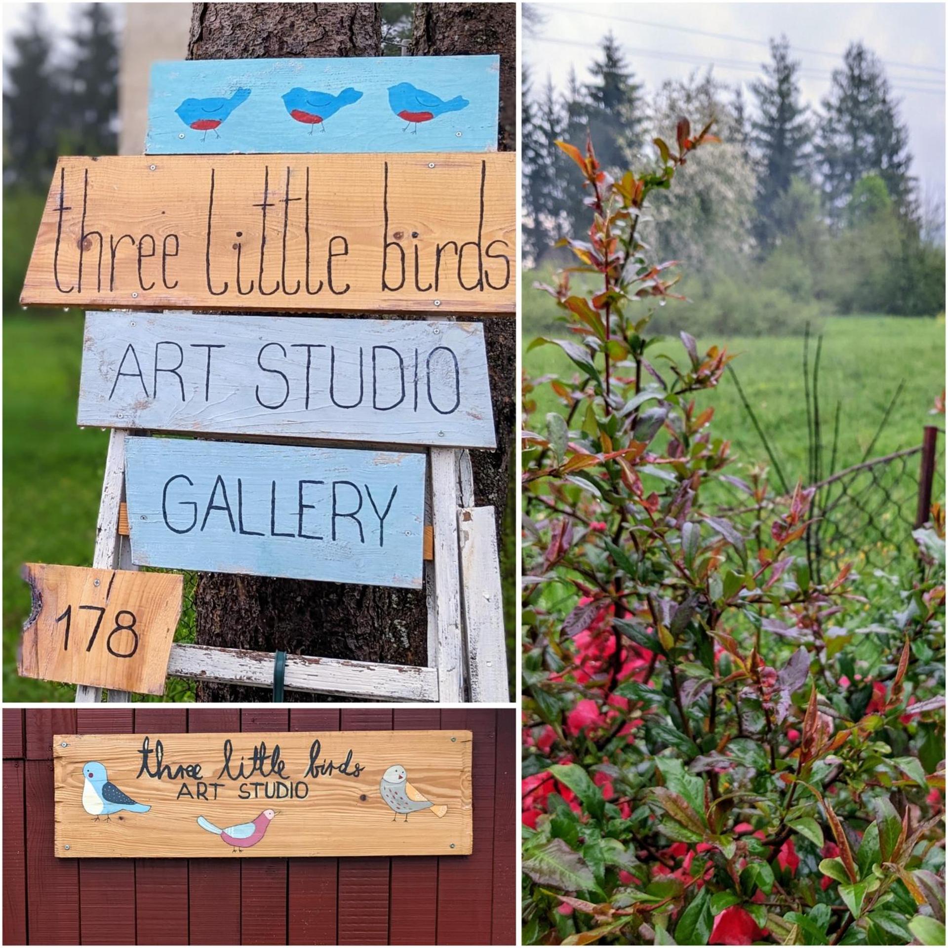 Three Little Birds Artists Residence