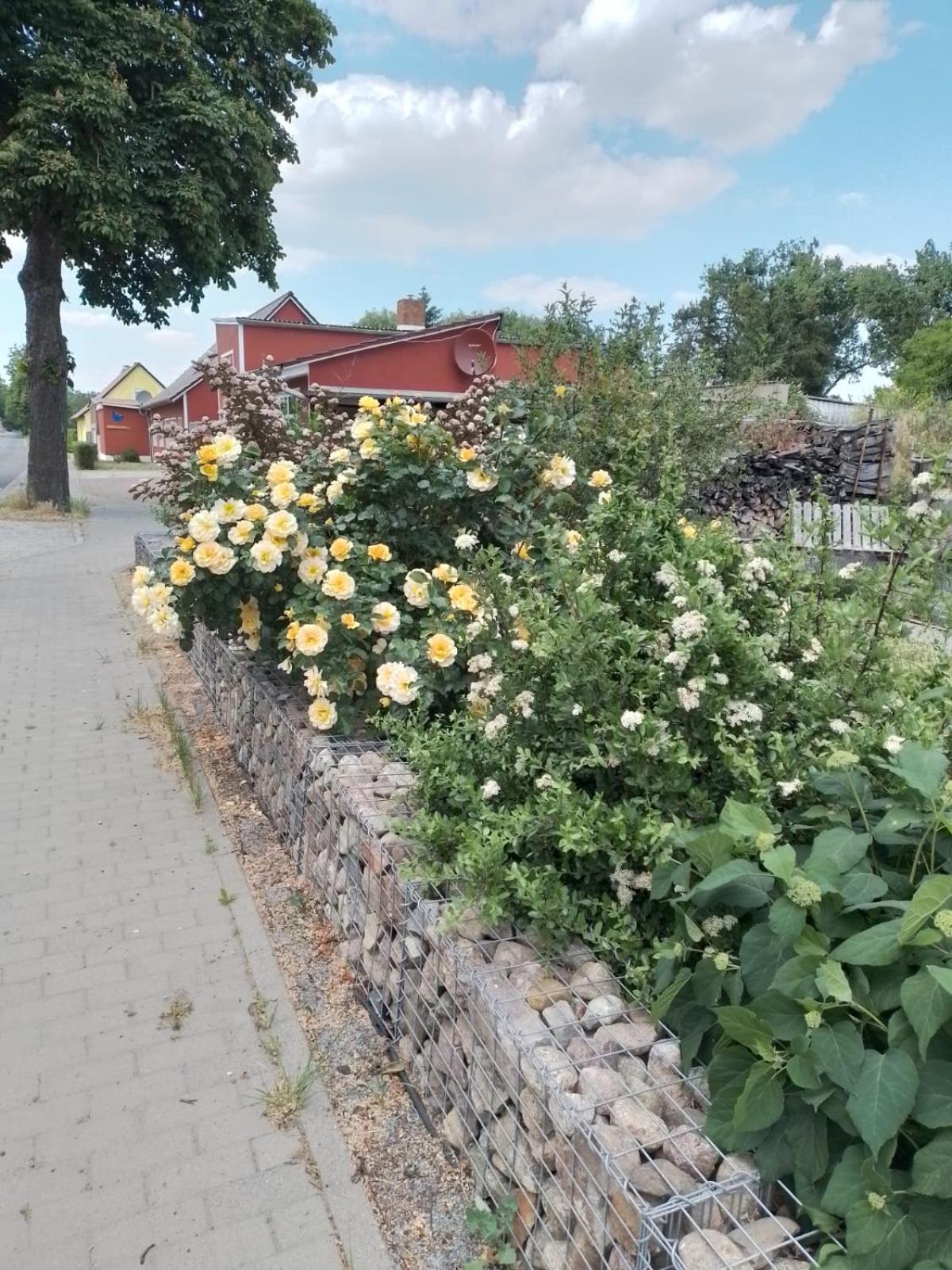 Uckermark "Ferienwohnung Sommerfugl "