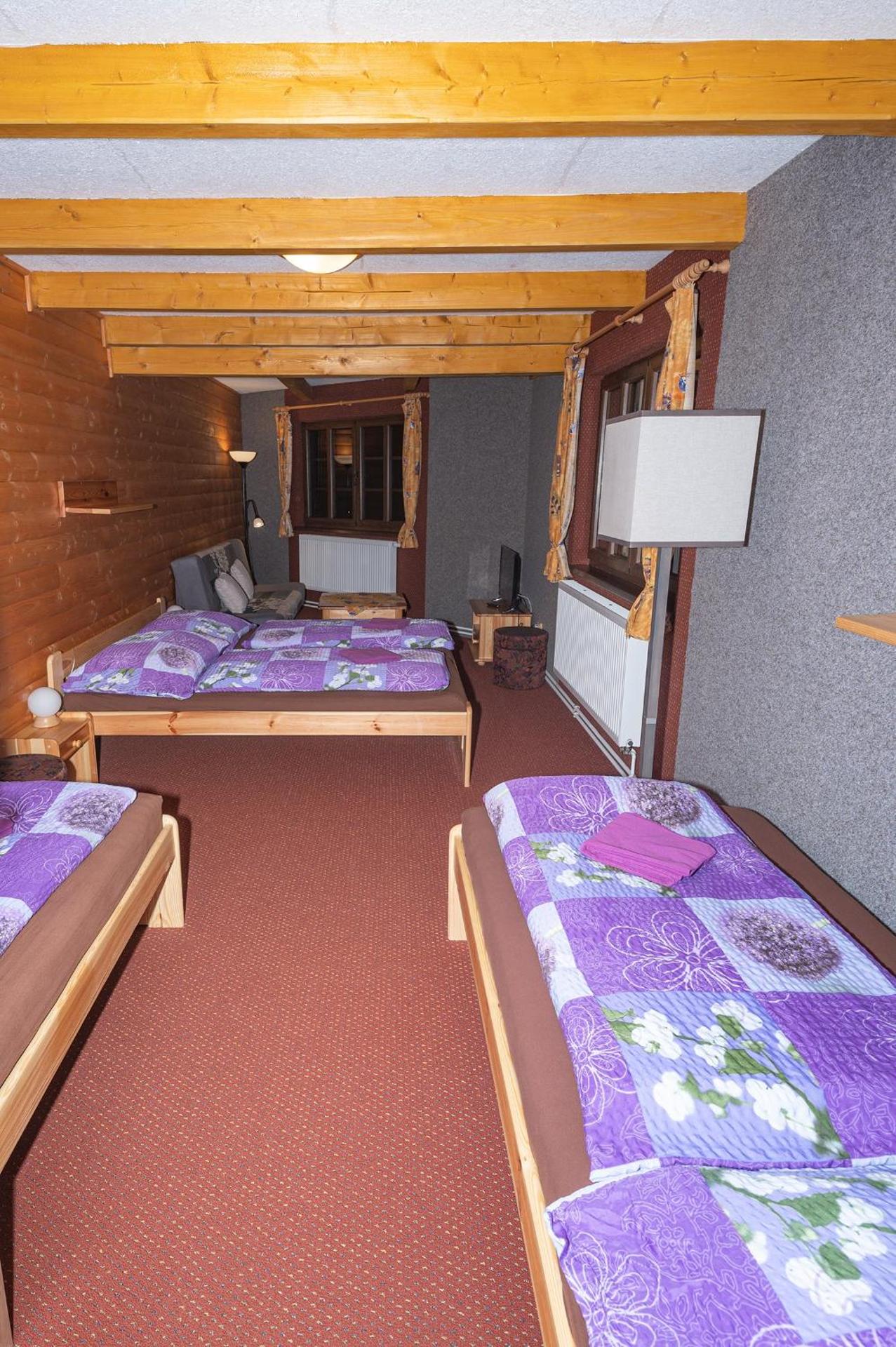 PENZION HARRY na sjezdovce KRKONOŠE