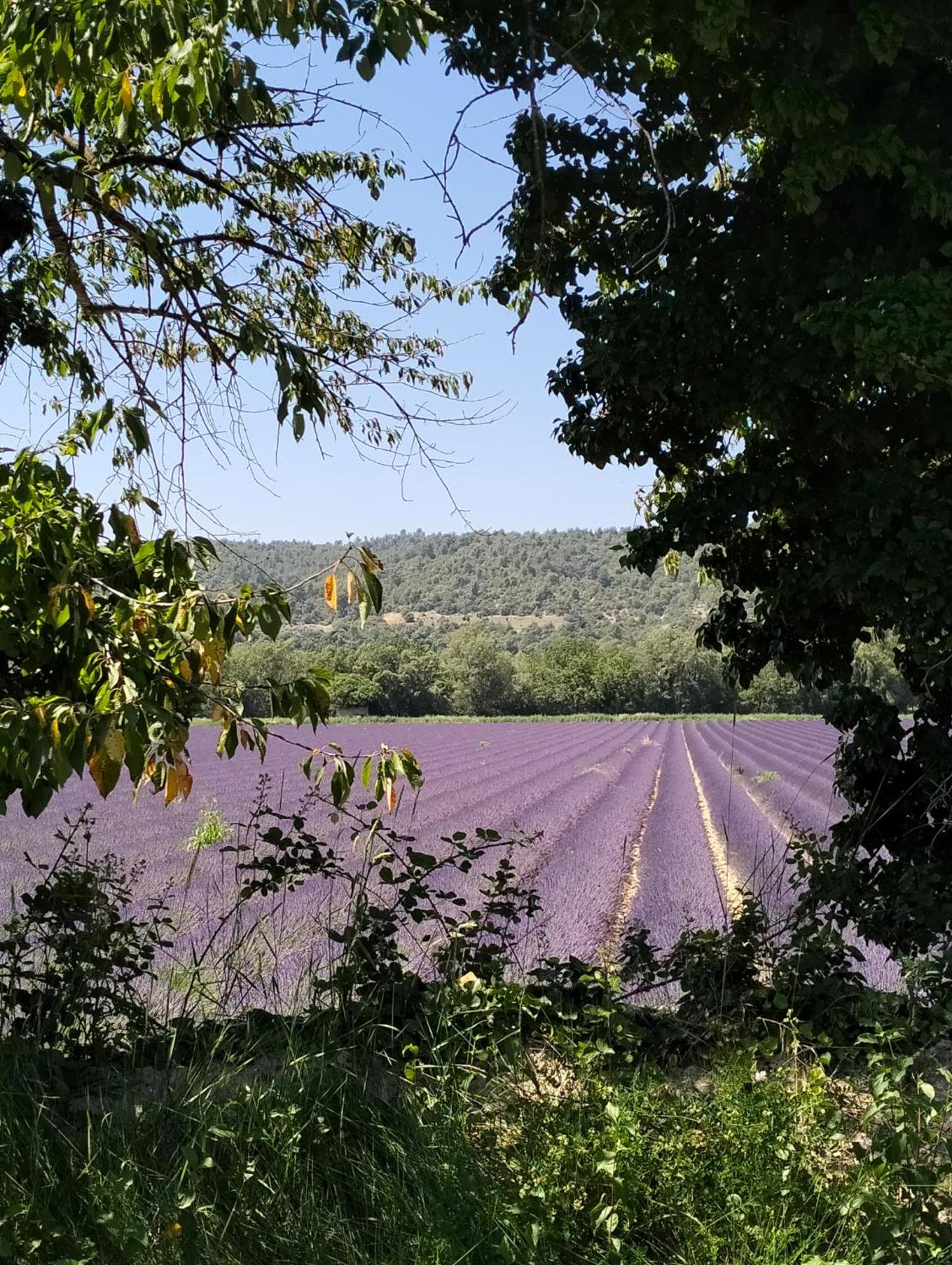 La Provence vous Attend***!!! - 1er étage