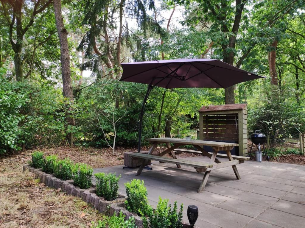 Prachtig chalet in de bossen