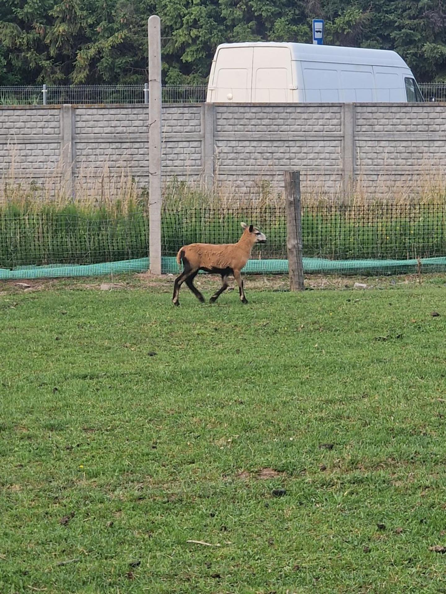 MAZURY-NOWY Domek letniskowy na Łowisku Muławki