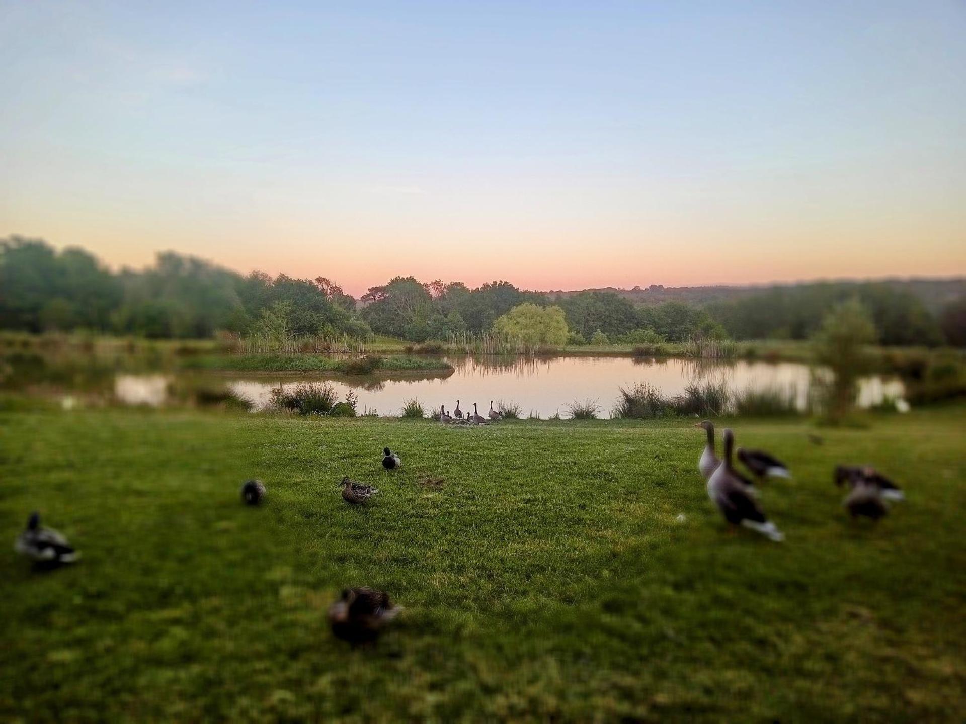 Charming tranquil Shepherds Hut with lakeside balcony 'Roach'