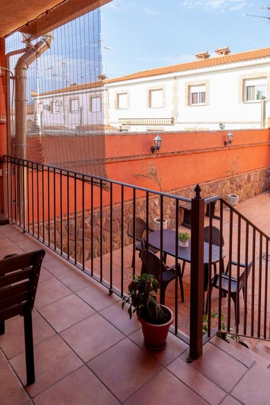 Los olivares de Rober