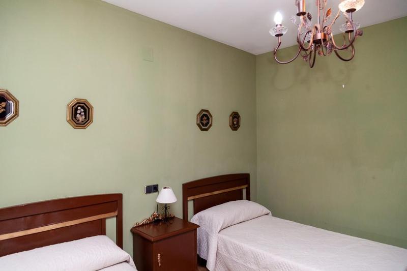 Los olivares de Rober