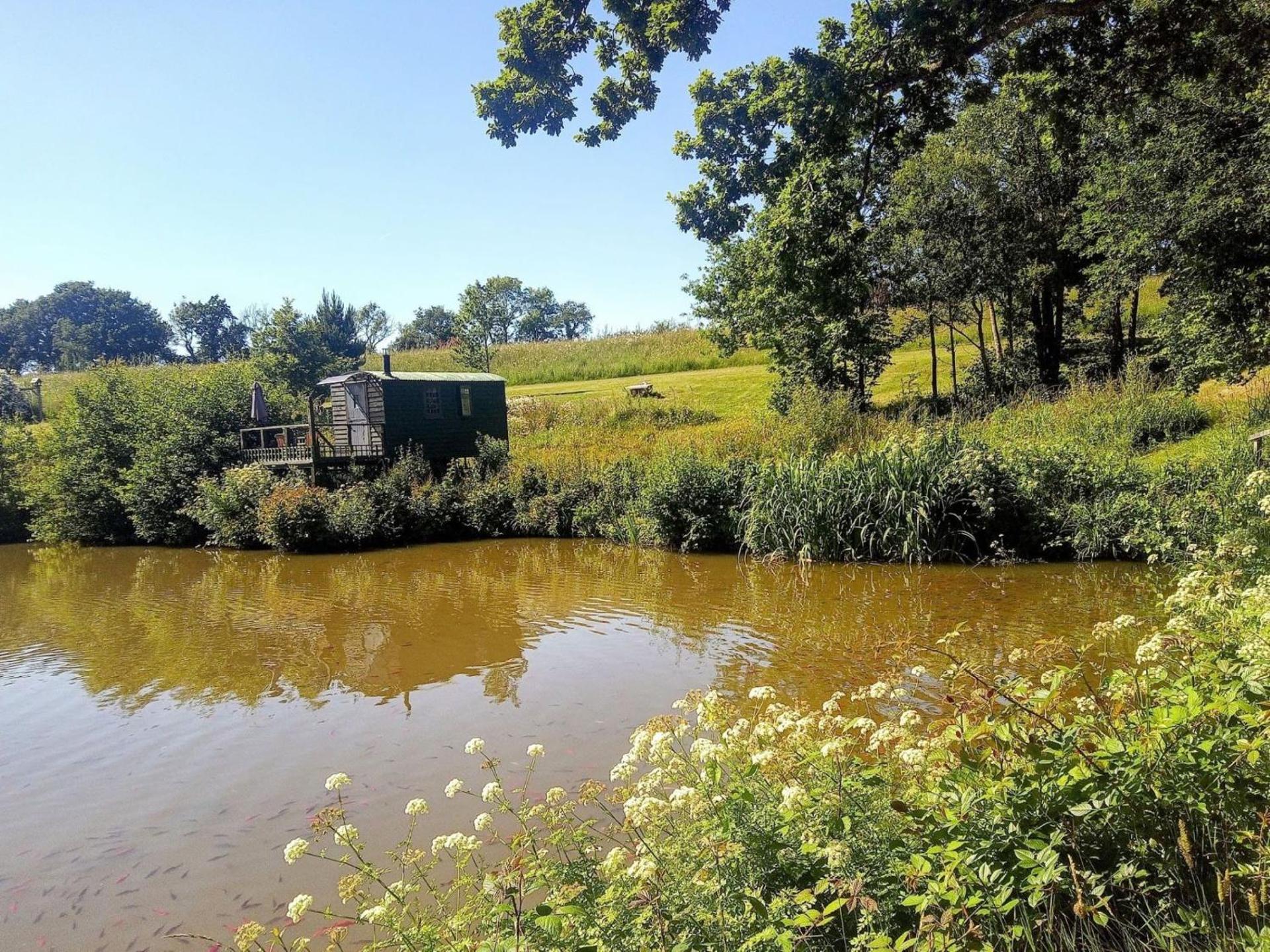 Snug & Secluded Lakeside Shepherds Hut 'Carp'