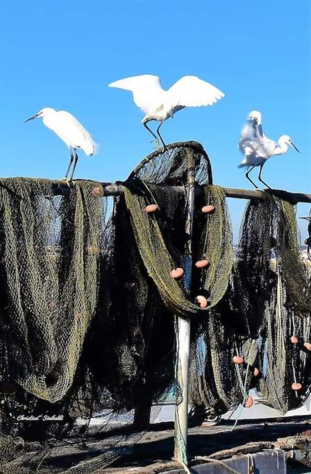 Maison quartier pointe-courte à Sète