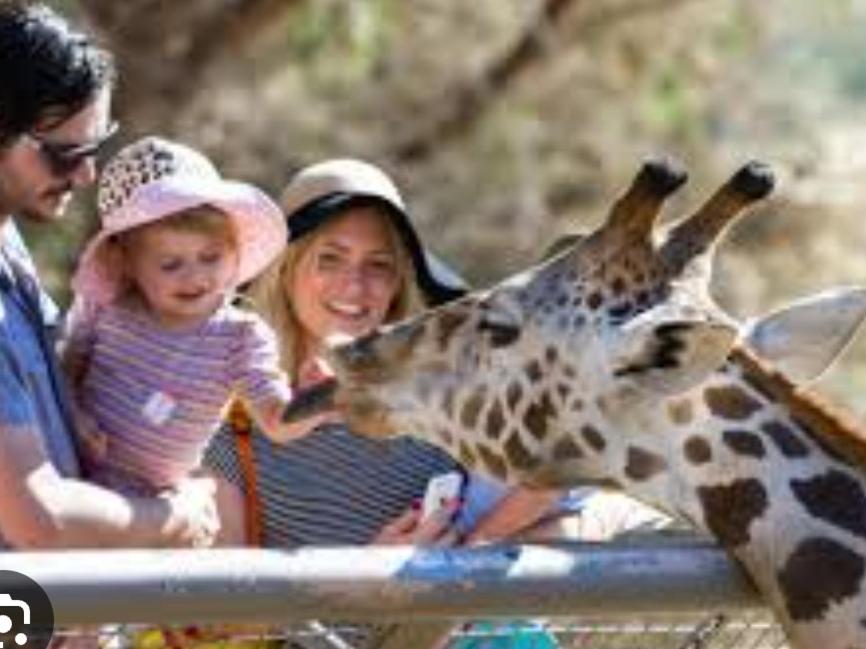 Il giardino delle Fate