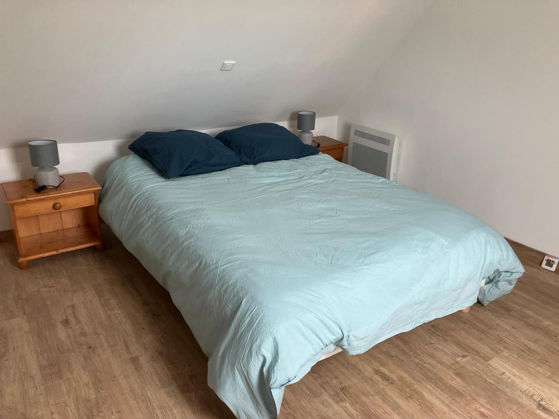 Le chat sur le balai